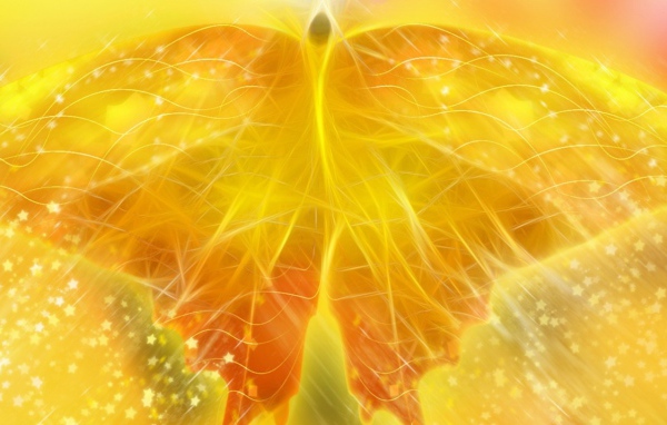 Желтая бабочка