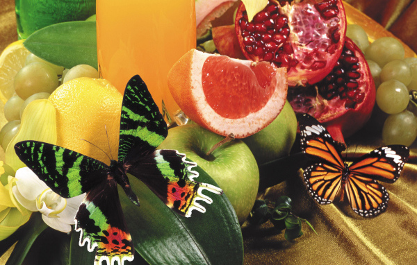 Маленькая бабочка на фруктах