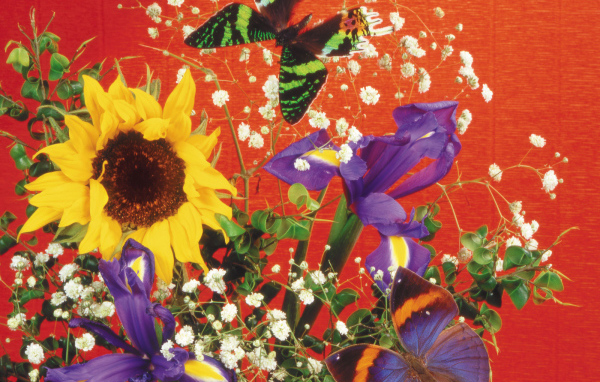 Бабочка и букет