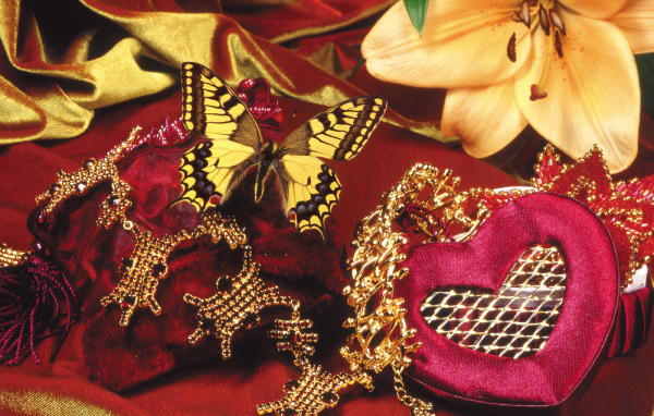 Бабочка и бархат