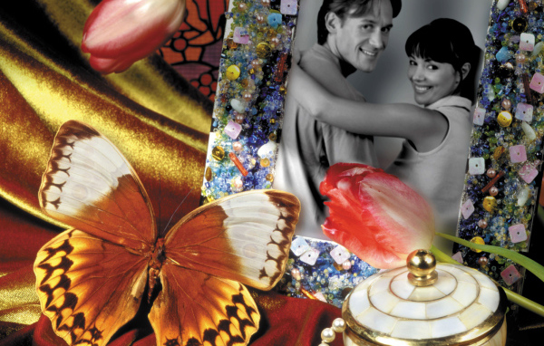 Бабочка у фотографии