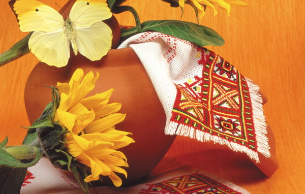 Красивая желтая бабочка на горшке