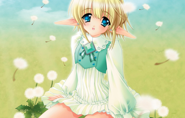 Одуванчики