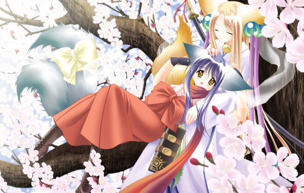 Под ветвями сакуры