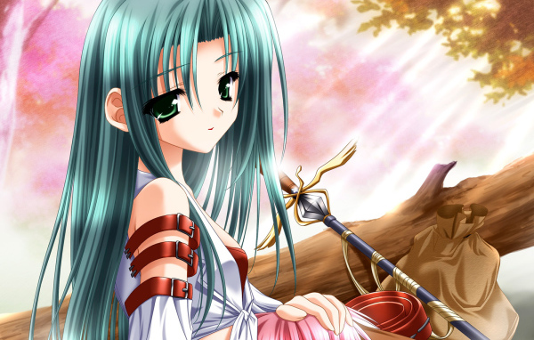 Путешественница