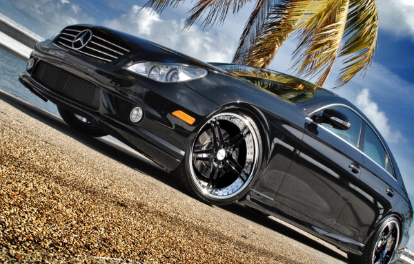 Черный Мерин