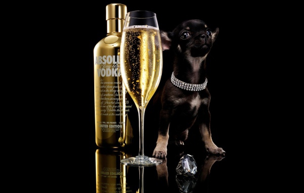 Реклама водки Absolute