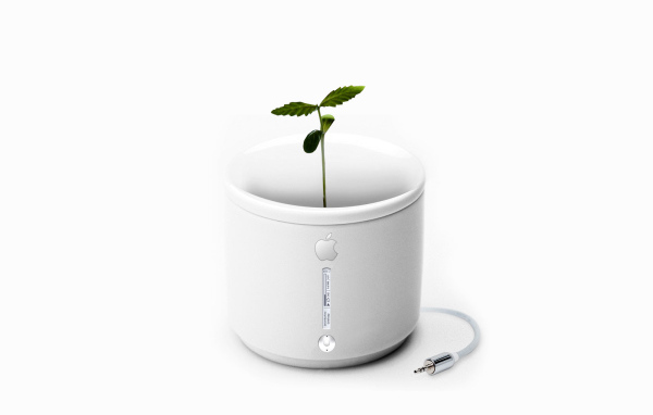 Apple iFlower
