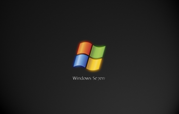 Microsoft Windows Se7en grey