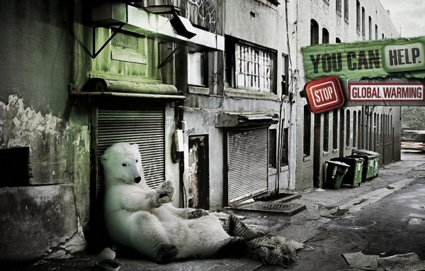 Медведь в городе