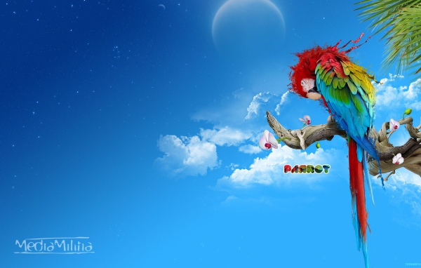 Красочный попугай