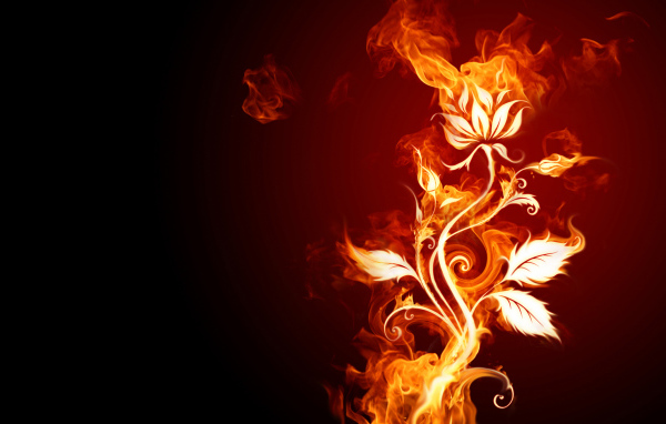 Огненный цветок
