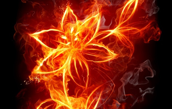 Цветок из огня