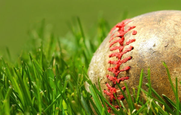 Зеленая трава и мяч