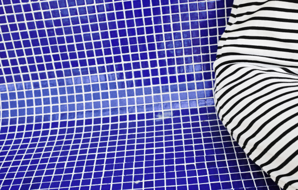 Зебра в бассейне