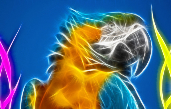 Разноцветный попугай