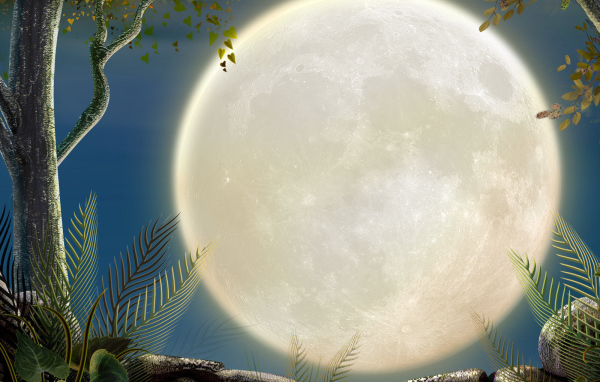 Полная луна