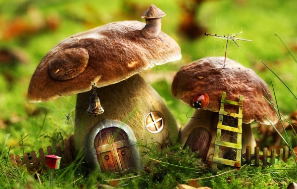 Грибные домики