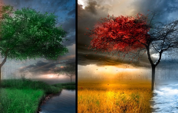 Весна Лето Осень Зима