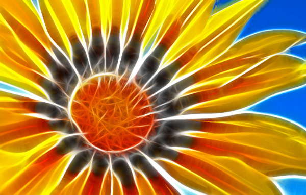 Солнечный цветок