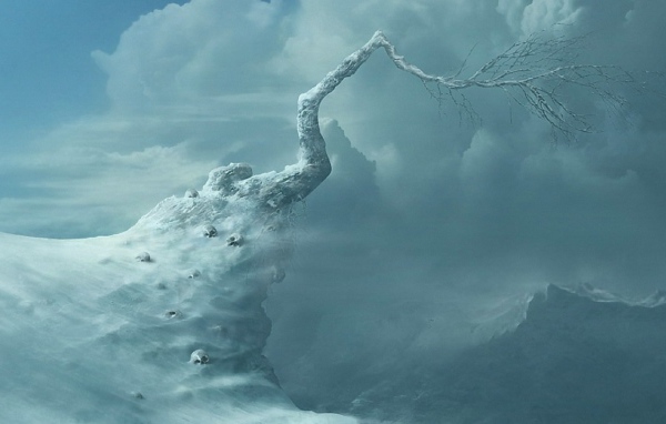 Вершина жизни