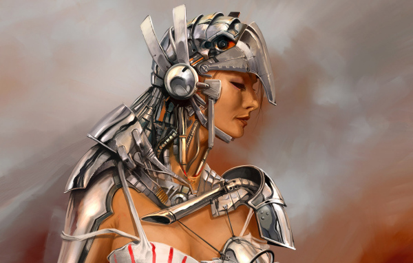 Девушка в доспехах