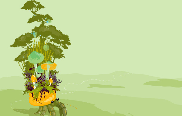 Грибы  на панцире