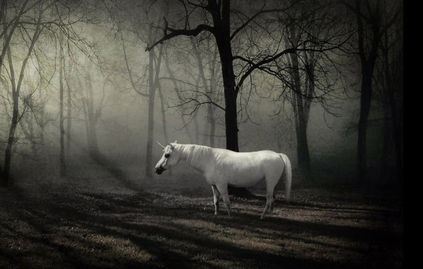 Сказочное животное