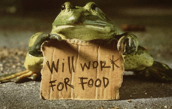 Готов работать за еду