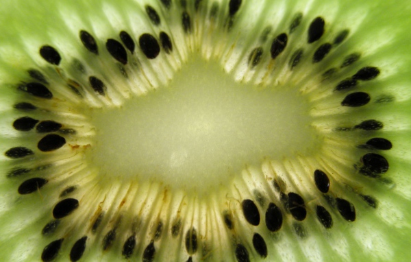 Мякоть киви