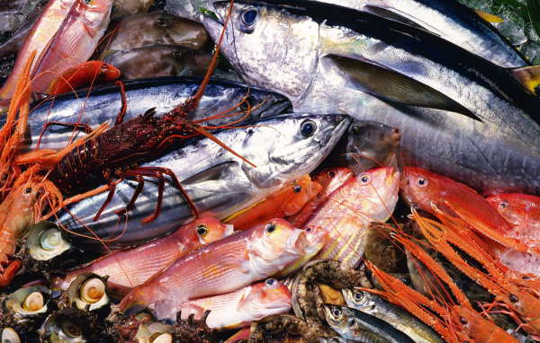 Морепродукты