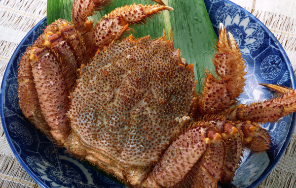 Колючий краб