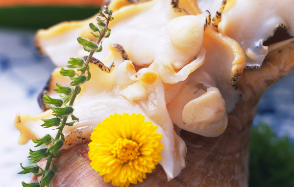 вкусный кальмар