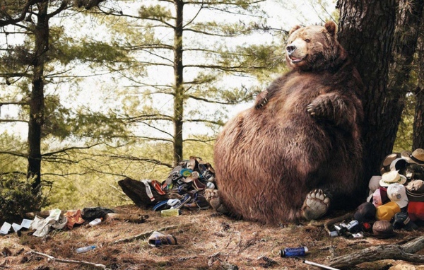 Медведь в походе