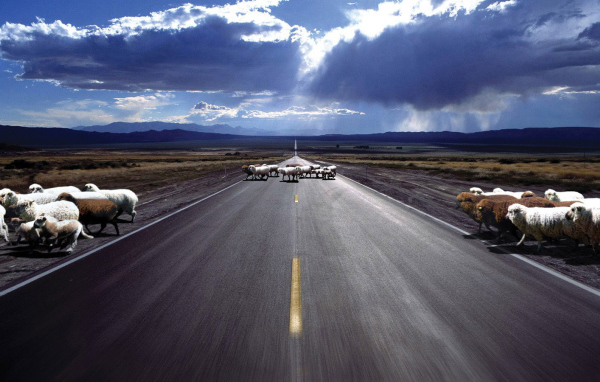 Перекресток