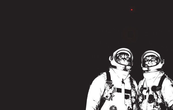 Коты космонавты