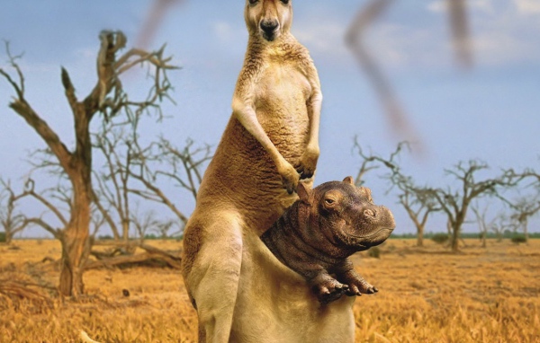 Приемный сын