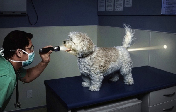 Свет в конце туннеля