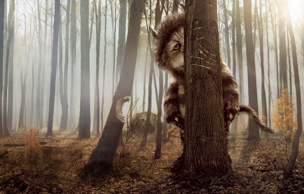 КотоПёс кэжуал