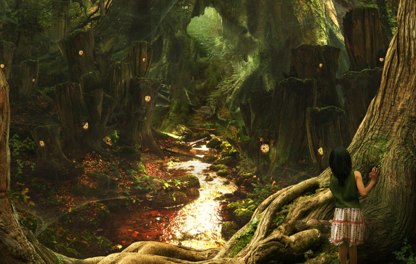 Выход из Леса