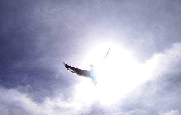 Праздничный день