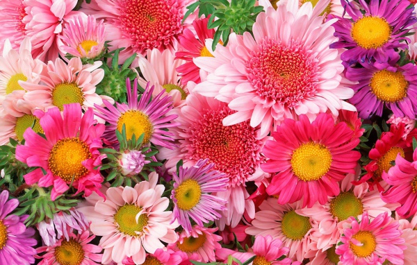 Красивые цветы на 8 марта