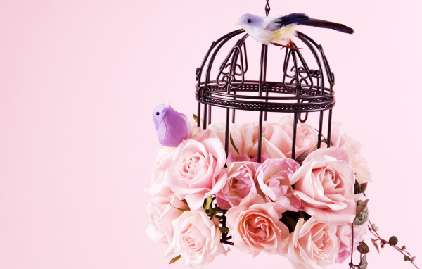 Птицы и цветы на 8 марта