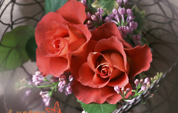 Поздравления на Международный женский день