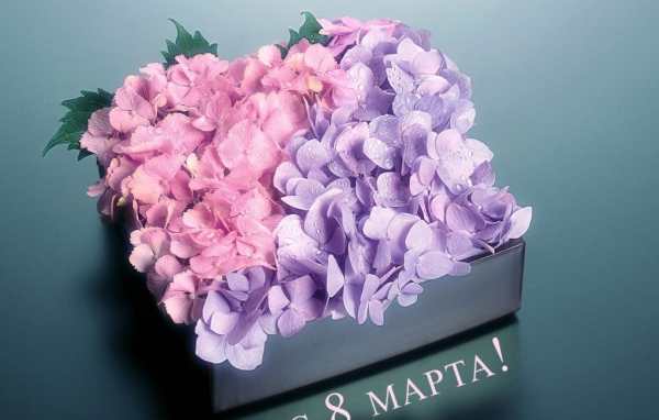 Цветы любимым девчонкам