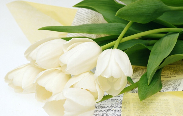 Цветы для самой желанной