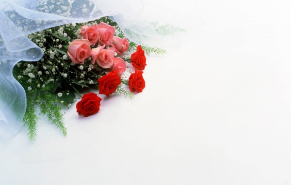 Цветы любви