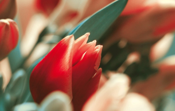 С днем 8 марта!