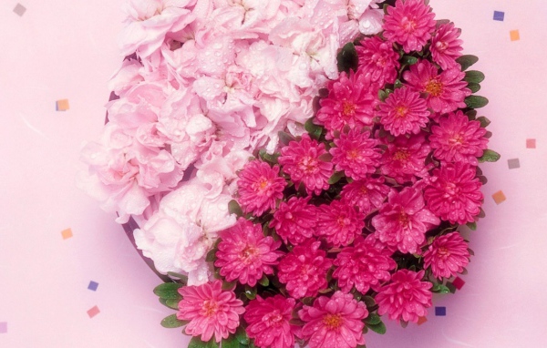 Поздравляю с 8 марта!