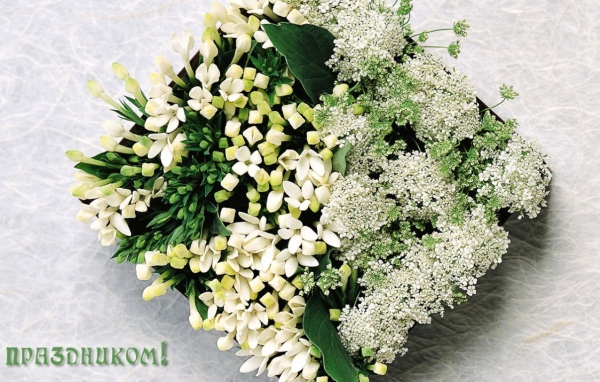 Праздник для любимых девушек